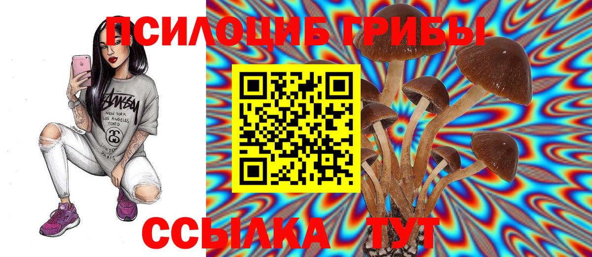Галлюциногенные грибы Magic Shrooms Донской